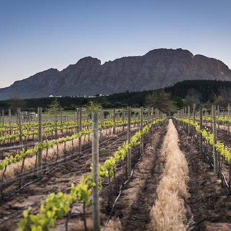 Lanzerac Hotel & Spa Stellenbosch Exterior photo