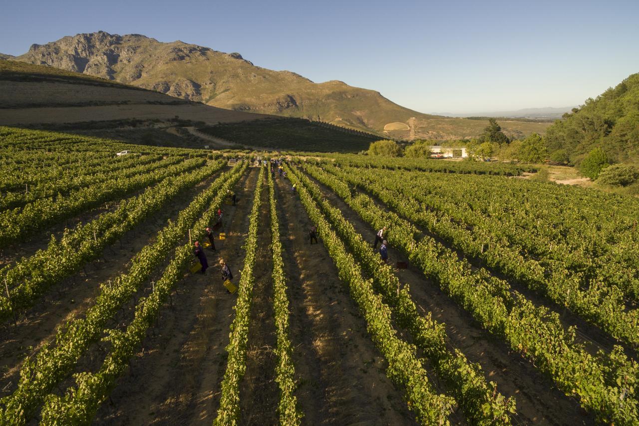 Lanzerac Hotel & Spa Stellenbosch Exterior photo